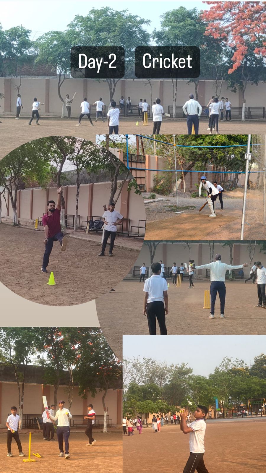 Cricket