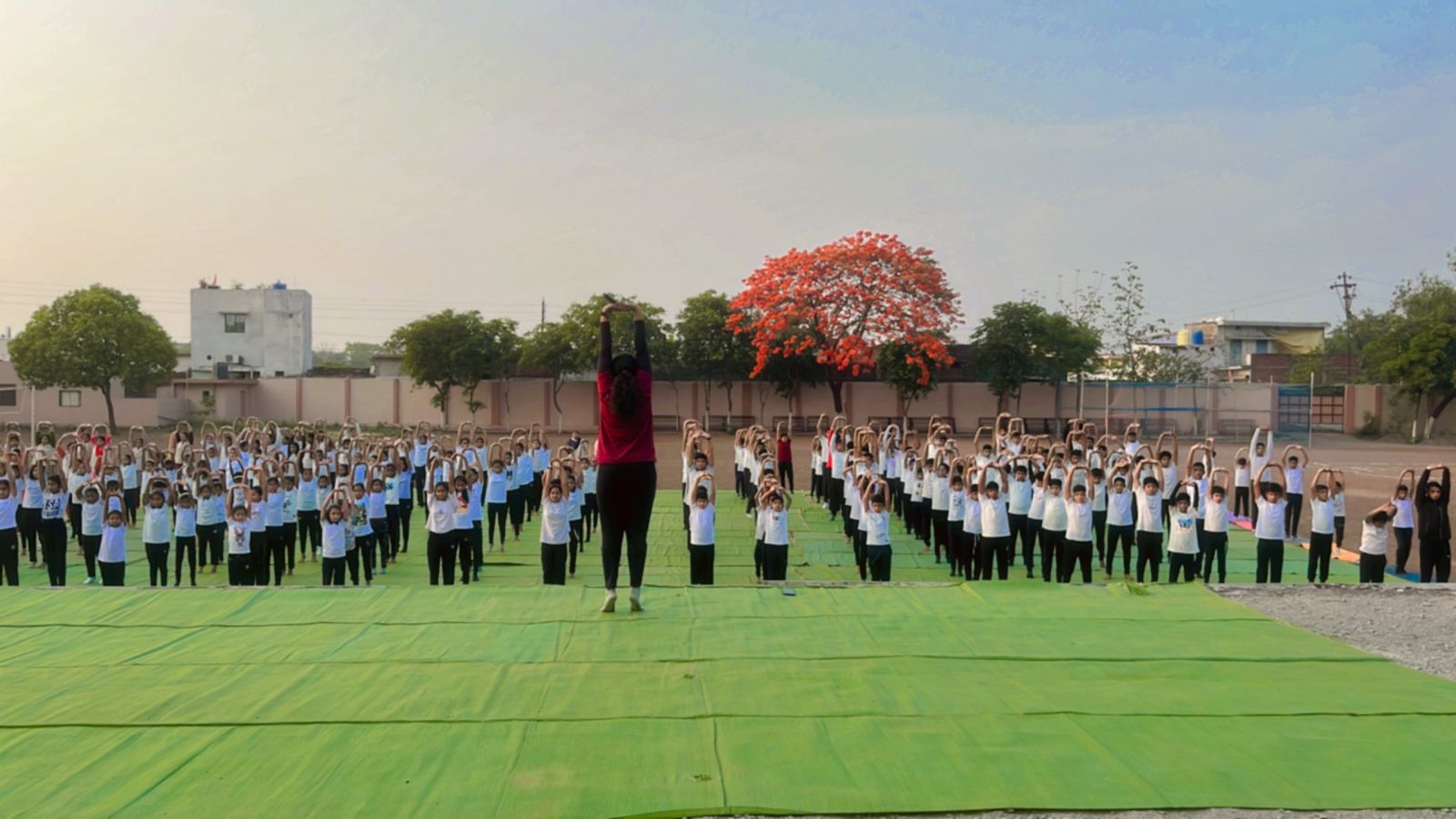 Yoga Hands Up